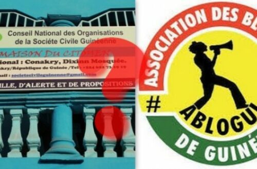 Article : Guinée – 3e mandat, pourquoi ce silence d’ABLOGUI et de la société civile ?