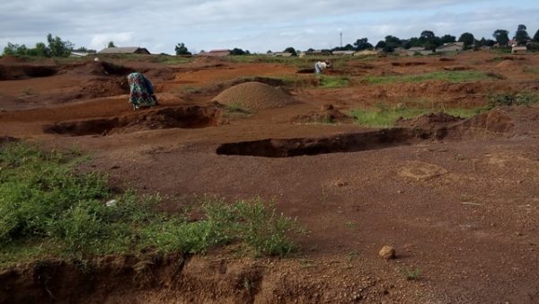 Article : Guinée: ces femmes qui creusent le sol pour ne pas avoir le ventre creux